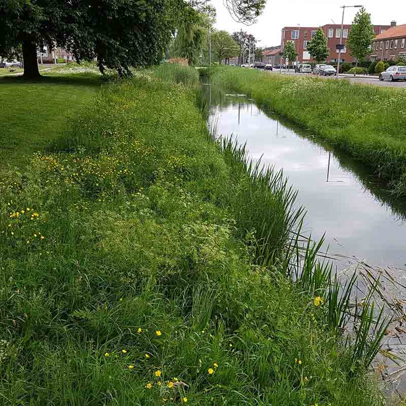 Voorbeeld van de toepassing van deze maatregel
