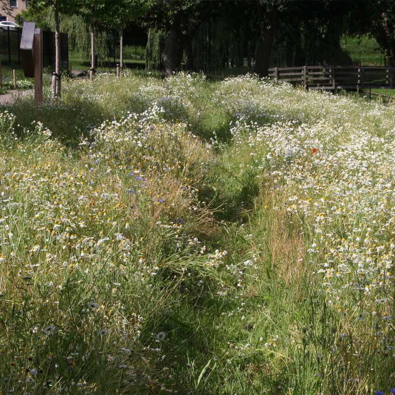 Voorbeeld van de toepassing van deze maatregel