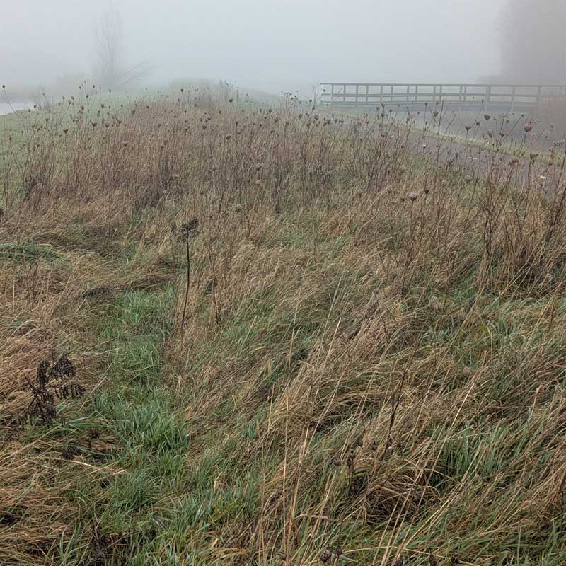 Voorbeeld van de toepassing van deze maatregel