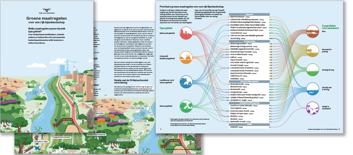 omslag en binnenwerk brochure