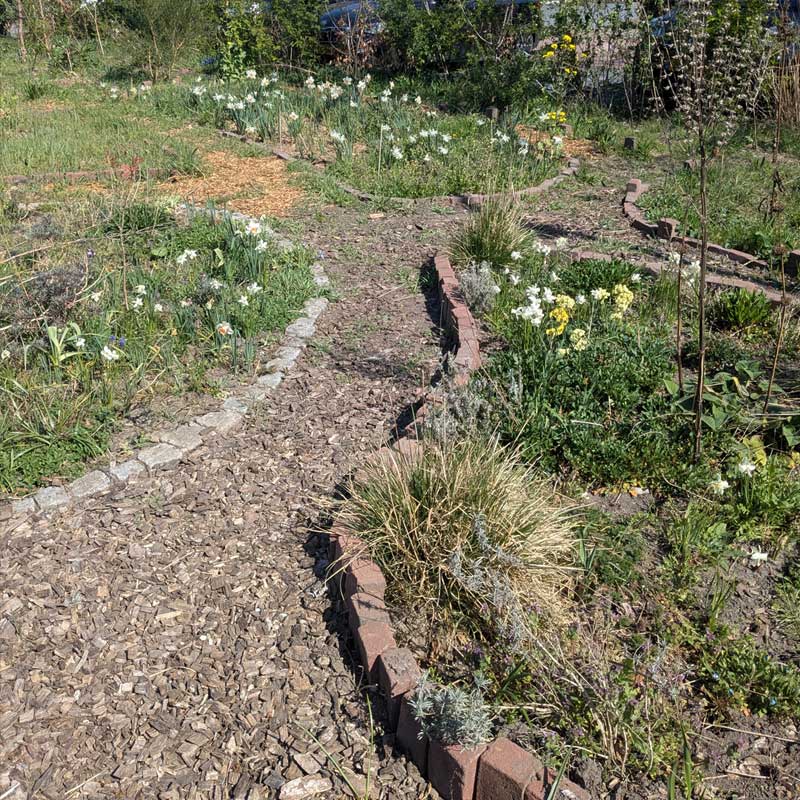 Voorbeeld van de toepassing van deze maatregel