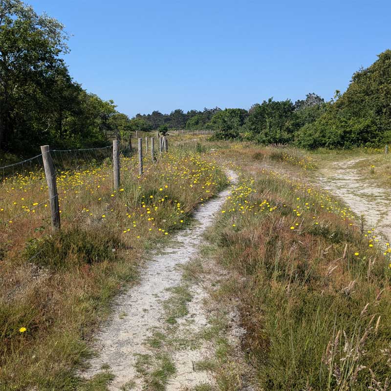 Voorbeeld van de toepassing van deze maatregel